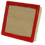 Order WIX - WA9790 - Air Filter For Your Vehicle